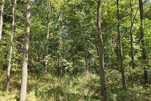 1284 Maple Grove Rd, Jackson, MI 49201 - Photo 95