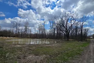 1284 Maple Grove Rd, Jackson, MI 49201 - Photo 23