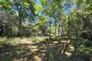 1284 Maple Grove Rd, Jackson, MI 49201 - Photo 135