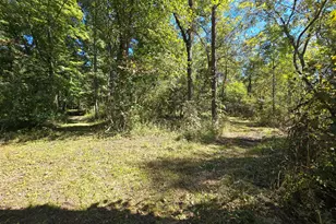 1284 Maple Grove Rd, Jackson, MI 49201 - Photo 113