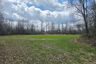 1284 Maple Grove Rd, Jackson, MI 49201 - Photo 25