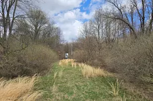 1284 Maple Grove Rd, Jackson, MI 49201 - Photo 19