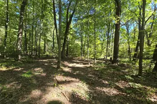 1284 Maple Grove Rd, Jackson, MI 49201 - Photo 117