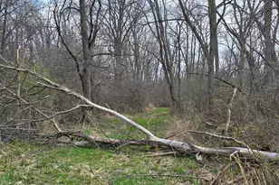 1284 Maple Grove Rd, Jackson, MI 49201 - Photo 31