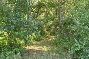 1284 Maple Grove Rd, Jackson, MI 49201 - Photo 81