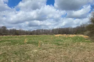 1284 Maple Grove Rd, Jackson, MI 49201 - Photo 19