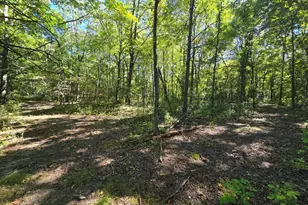 1284 Maple Grove Rd, Jackson, MI 49201 - Photo 149