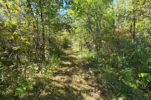 1284 Maple Grove Rd, Jackson, MI 49201 - Photo 165