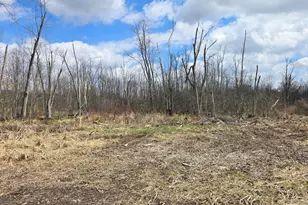 1284 Maple Grove Rd, Jackson, MI 49201 - Photo 37