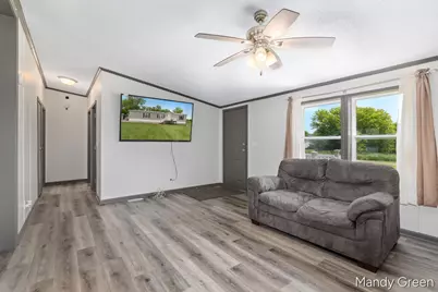 1007 Dildine Road, Ionia, MI 48846 - Photo 9