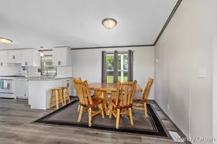1007 Dildine Rd, Ionia, MI 48846 - Photo 11