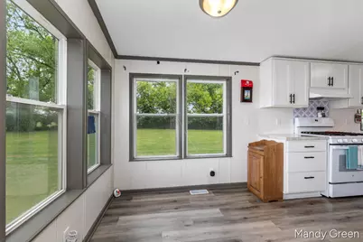 1007 Dildine Road, Ionia, MI 48846 - Photo 17