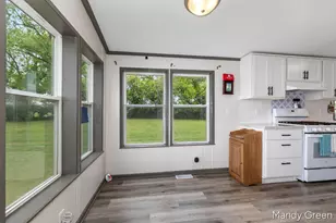 1007 Dildine Rd, Ionia, MI 48846 - Photo 17
