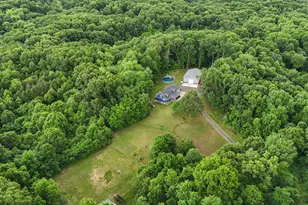 11803 Hoffman Rd, Three Rivers, MI 49093 - Photo 51