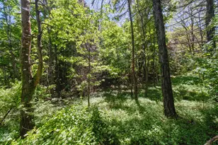 7247 Severence St, Benzonia, MI 49616 - Photo 57