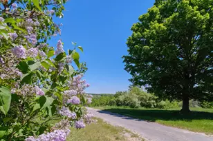 7247 Severence St, Benzonia, MI 49616 - Photo 59