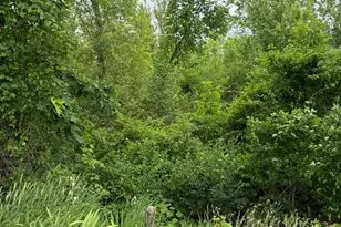 818 Raisin River Rd, Three Rivers, MI 49093 - Photo 25