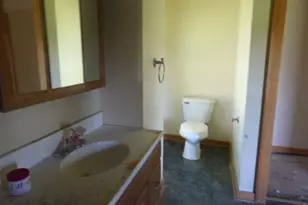 667 W Southern Rd, Bronson, MI 49028 - Photo 13