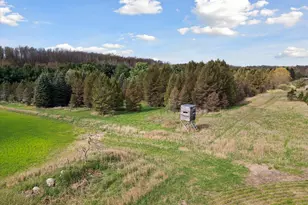 1366 Grow Rd NW, Stanton, MI 48888 - Photo 37