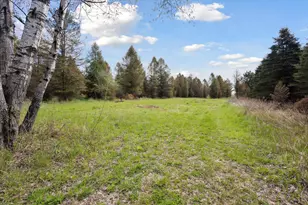 1366 Grow Rd NW, Stanton, MI 48888 - Photo 29