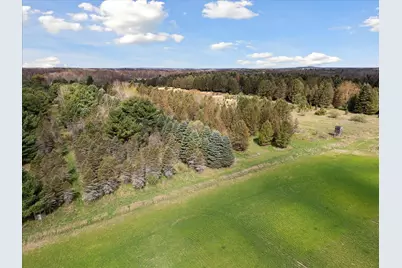 1366 Grow Road NW, Stanton, MI 48888 - Photo 39