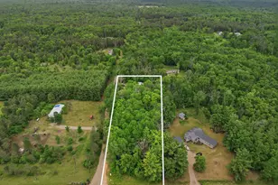 9988 N West County Line Rd, Newaygo, MI 49337 - Photo 39