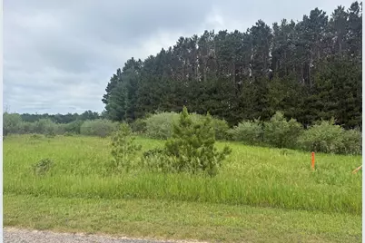 11651 Port Stewart Drive, Canadian Lakes, MI 49346 - Photo 13