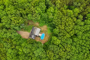 21537 W Kendaville Rd, Pierson, MI 49339 - Photo 51