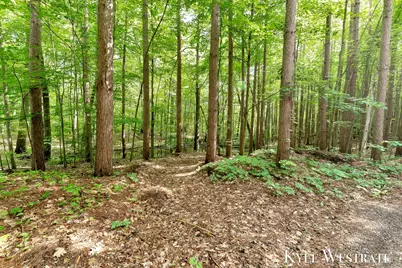 15594 Ritchie Avenue NE, Cedar Springs, MI 49319 - Photo 29