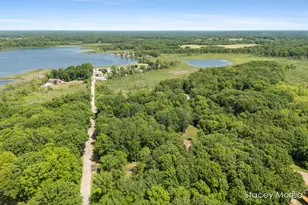 12173 Hart St NE, Greenville, MI 48838 - Photo 49