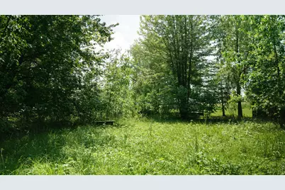 Lyman Road #Lot 18, Kaleva, MI 49645 - Photo 7