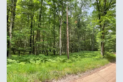 8725 W River Road, Irons, MI 49644 - Photo 35