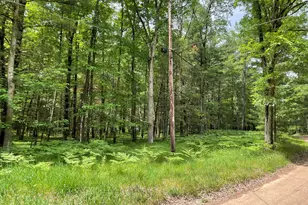 8725 W River Rd, Irons, MI 49644 - Photo 35