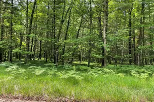 8725 W River Rd, Irons, MI 49644 - Photo 37