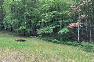 8725 W River Rd, Irons, MI 49644 - Photo 27