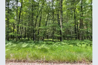 8725 W River Road, Irons, MI 49644 - Photo 33
