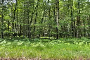 8725 W River Rd, Irons, MI 49644 - Photo 33
