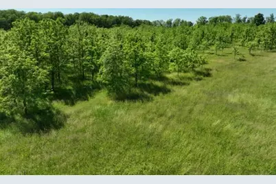 63531 Dailey Road, Cassopolis, MI 49031 - Photo 17