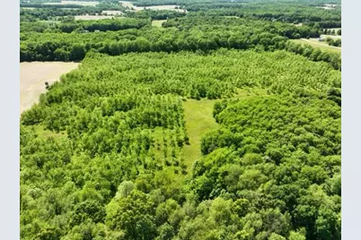 63531 Dailey Road, Cassopolis, MI 49031 - Photo 13