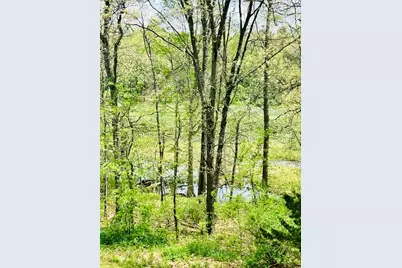 18610 M 86, Three Rivers, MI 49093 - Photo 129