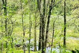 18610 M 86, Three Rivers, MI 49093 - Photo 129