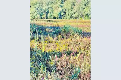 18610 M 86, Three Rivers, MI 49093 - Photo 131