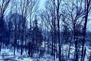 18610 M 86, Three Rivers, MI 49093 - Photo 135