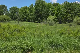 475 Tyler Rd, Wayland, MI 49348 - Photo 17