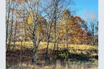 9955 Wiitala Road, Copemish, MI 49625 - Photo 1