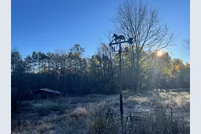 9955 Wiitala Road, Copemish, MI 49625 - Photo 3