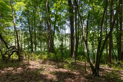 28 Mile Road, Albion, MI 49224 - Photo 21