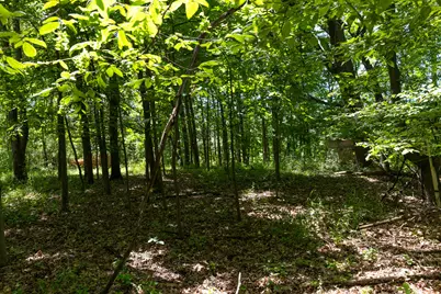 28 Mile Road, Albion, MI 49224 - Photo 15