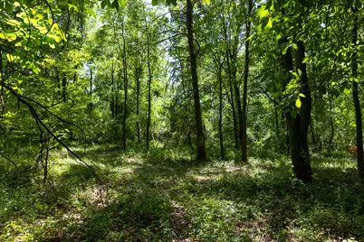 28 Mile Road, Albion, MI 49224 - Photo 13