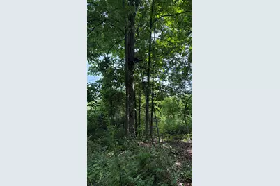 28 Mile Road, Albion, MI 49224 - Photo 11